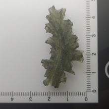 Load image into Gallery viewer, Besednice Jezkovna Moldavite 4.84gr 24.20ct Collector Grade  Certificate of Authenticity
