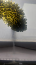 Load image into Gallery viewer, Besednice Jezkovna Crescent Moon 24.21 Grams with Certificate
