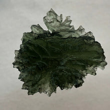 Load image into Gallery viewer, Besednice Moldavite Crystal - 4.79gr/23.95ct - Unique Sheared Side - Collector Jezkovna Hedgehog -
