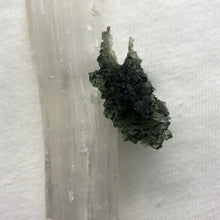 Load image into Gallery viewer, Besednice Moldavite Crystal - 4.79gr/23.95ct - Unique Sheared Side - Collector Jezkovna Hedgehog -
