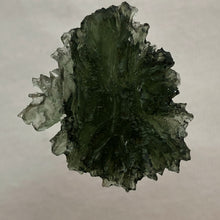 Load image into Gallery viewer, Besednice Moldavite Crystal - 4.79gr/23.95ct - Unique Sheared Side - Collector Jezkovna Hedgehog -
