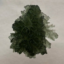 Load image into Gallery viewer, Besednice Moldavite Crystal - 4.79gr/23.95ct - Unique Sheared Side - Collector Jezkovna Hedgehog -
