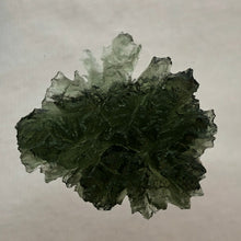 Load image into Gallery viewer, Besednice Moldavite Crystal - 4.79gr/23.95ct - Unique Sheared Side - Collector Jezkovna Hedgehog -
