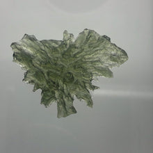 Load image into Gallery viewer, Besednice Moldavite Crystal - 3.40gr/17.0ct - High Grade Collector Hedgehog -
