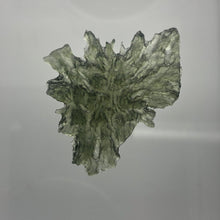 Load image into Gallery viewer, Besednice Moldavite Crystal - 3.40gr/17.0ct - High Grade Collector Hedgehog -
