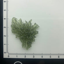 Load image into Gallery viewer, Besednice Moldavite Crystal - 3.40gr/17.0ct - High Grade Collector Hedgehog -
