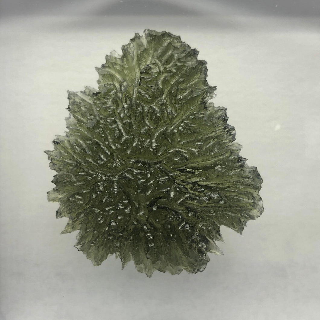 Moldavite Crystal  A++ Grade  - 6.33gr/31.65ct - Deep Green Maly Chlum