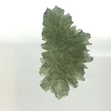 Load image into Gallery viewer, Besednice Moldavite Crystal - 9.92gr/49.60ct - Collector Jezkovna Hedgehog -
