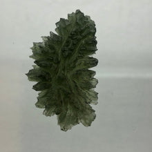 Load image into Gallery viewer, Besednice Moldavite Crystal - 9.92gr/49.60ct - Collector Jezkovna Hedgehog -
