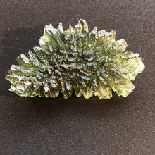 Load image into Gallery viewer, Besednice Moldavite Crystal - 9.92gr/49.60ct - Collector Jezkovna Hedgehog -
