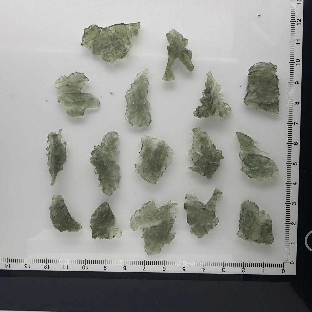 Besednice Moldavite Wholesale Lot - 16 Pieces B-Grade -   .9 - 1.5 grams per piece  - 20.3 grams total