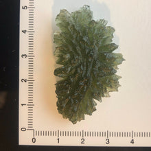 Load image into Gallery viewer, Besednice Moldavite Crystal - 9.92gr/49.60ct - Collector Jezkovna Hedgehog -
