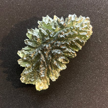 Load image into Gallery viewer, Besednice Moldavite Crystal - 9.92gr/49.60ct - Collector Jezkovna Hedgehog -
