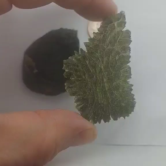 Besednice Jezkovna Moldavite  - 12.8gr/64ct - Angel Chime - High Grade Collector Hedgehog - Certificate of Authenticity OTTO